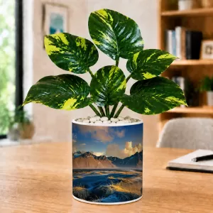 Artificial Tree Ceramic Photo Pot With White Stones 3x4 Inch (F165181)