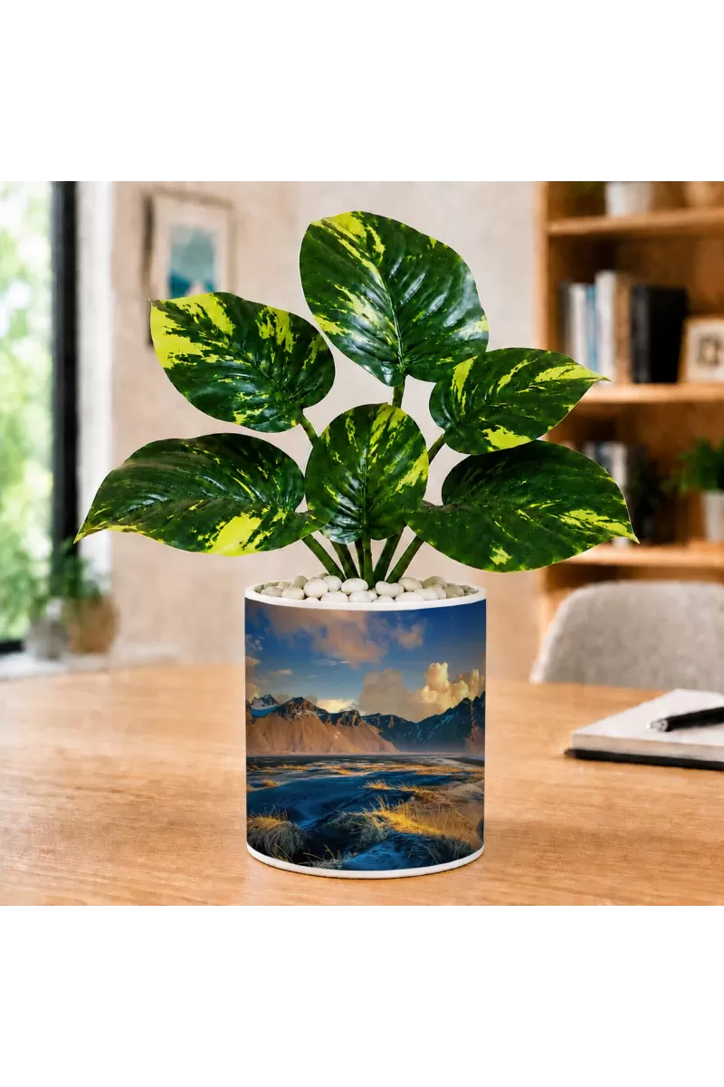 Artificial Tree Ceramic Photo Pot With White Stones 3x4 Inch (F165181)