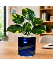 Artificial Tree Ceramic Photo Pot With White Stones 3x4 Inch (F165184)