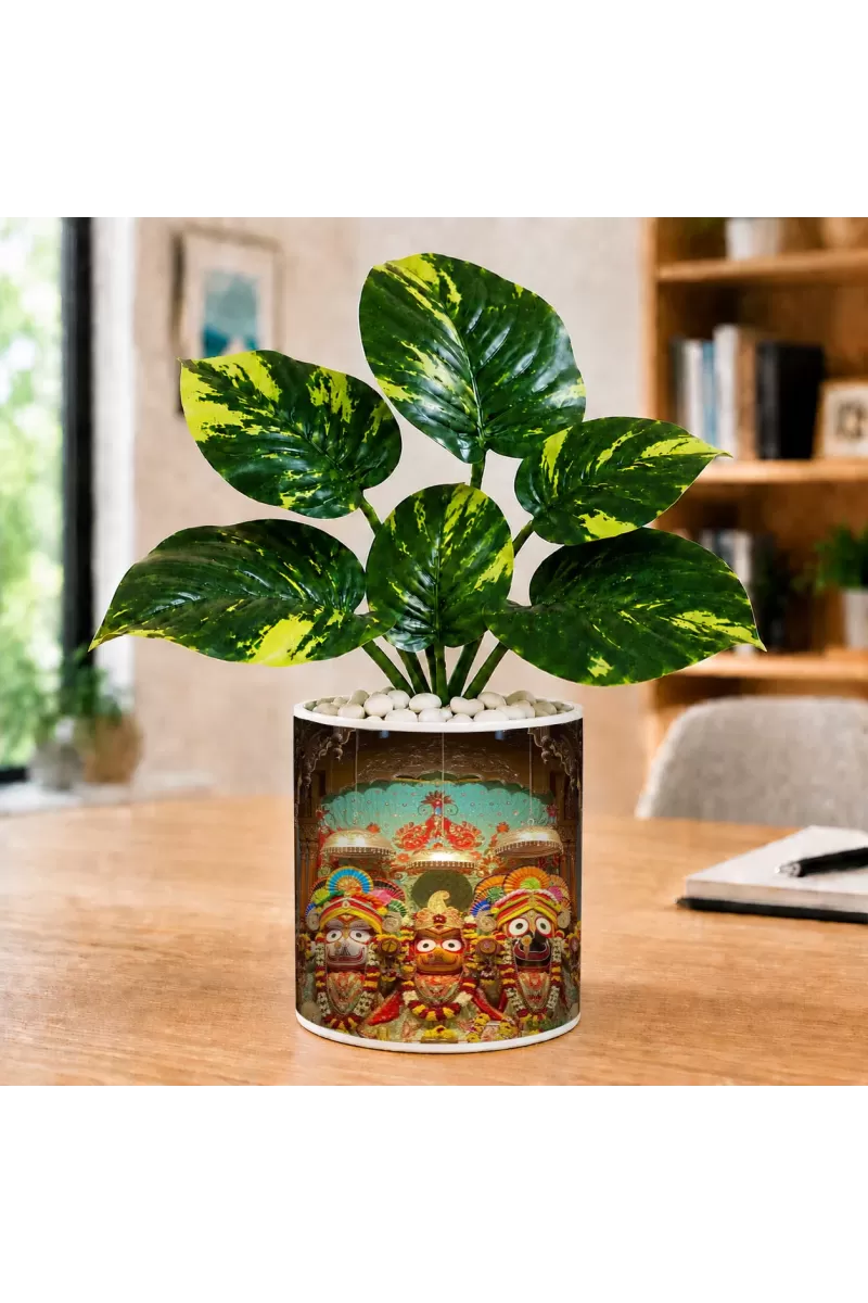 Artificial Tree Ceramic Photo Pot With White Stones 3x4 Inch (F165186)