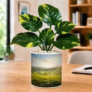 Artificial Tree Ceramic Photo Pot With White Stones 3x4 Inch (F165195)
