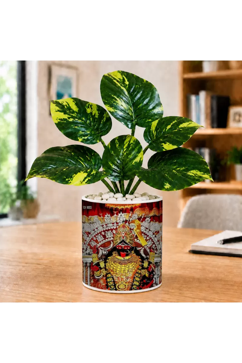 Artificial Tree Ceramic Photo Pot With White Stones 3x4 Inch (F165212)