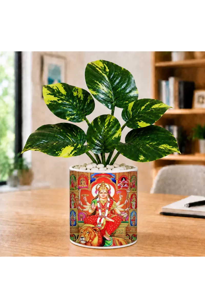 Artificial Tree Ceramic Photo Pot With White Stones 3x4 Inch (F165216)