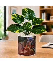 Artificial Tree Ceramic Photo Pot With White Stones 3x4 Inch (F165221)