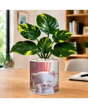 Artificial Tree Ceramic Photo Pot With White Stones 3x4 Inch (F165225)