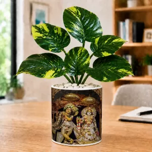 Artificial Tree Ceramic Photo Pot With White Stones 3x4 Inch (F165245) Artificial Tree Ceramic Photo Pot With White Stones 3x4 Inch (F165245)