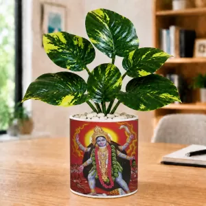 Artificial Tree Ceramic Photo Pot With White Stones 3x4 Inch (F165248) Artificial Tree Ceramic Photo Pot With White Stones 3x4 Inch (F165248)
