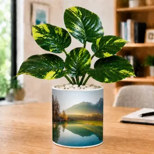 Artificial Tree Ceramic Photo Pot With White Stones 3x4 Inch (F165253)