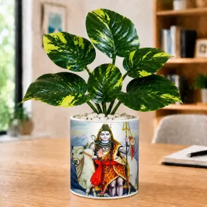 Artificial Tree Ceramic Photo Pot With White Stones 3x4 Inch (F165254)