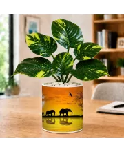 Artificial Tree Ceramic Photo Pot With White Stones 3x4 Inch (F165261)