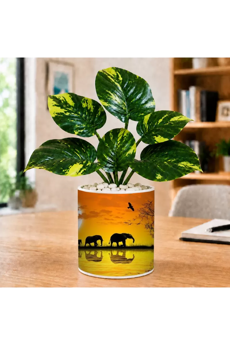 Artificial Tree Ceramic Photo Pot With White Stones 3x4 Inch (F165261)