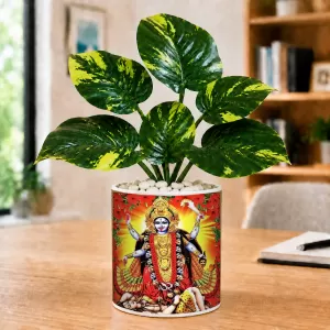 Artificial Tree Ceramic Photo Pot With White Stones 3x4 Inch (F165263) Artificial Tree Ceramic Photo Pot With White Stones 3x4 Inch (F165263)