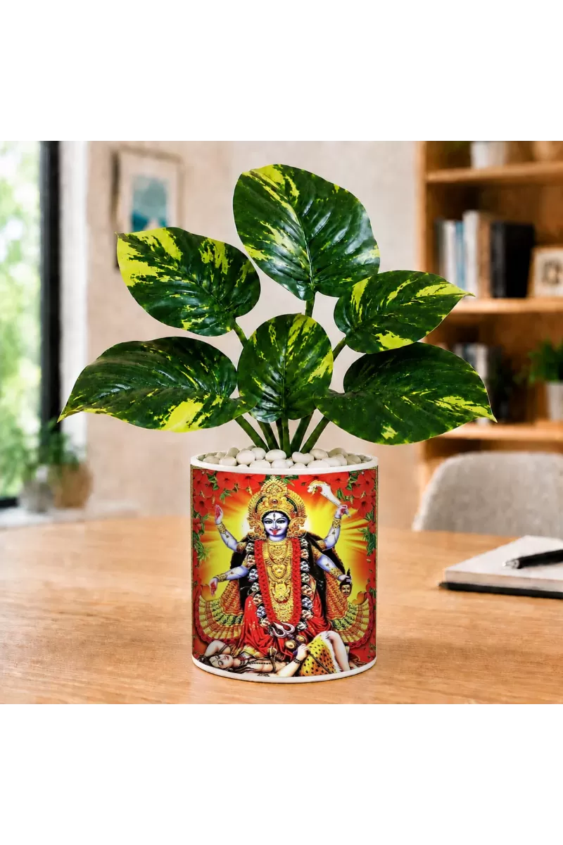 Artificial Tree Ceramic Photo Pot With White Stones 3x4 Inch (F165263)