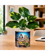Artificial Tree Ceramic Photo Pot With White Stones 3x4 Inch (F165265)