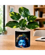 Artificial Tree Ceramic Photo Pot With White Stones 3x4 Inch (F165273)