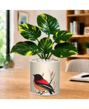 Artificial Tree Ceramic Photo Pot With White Stones 3x4 Inch (F165285)