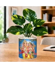 Artificial Tree Ceramic Photo Pot With White Stones 3x4 Inch (F165286)