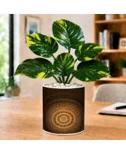 Artificial Tree Ceramic Photo Pot With White Stones 3x4 Inch (F165294)