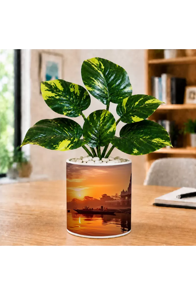 Artificial Tree Ceramic Photo Pot With White Stones 3x4 Inch (F165295)