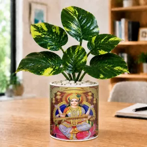 Artificial Tree Ceramic Photo Pot With White Stones 3x4 Inch (F165296) Artificial Tree Ceramic Photo Pot With White Stones 3x4 Inch (F165296)