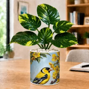 Artificial Tree Ceramic Photo Pot With White Stones 3x4 Inch (F165320) Artificial Tree Ceramic Photo Pot With White Stones 3x4 Inch (F165320)
