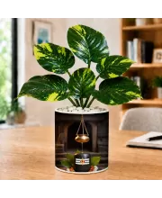 Artificial Tree Ceramic Photo Pot With White Stones 3x4 Inch (F165322)
