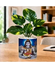Artificial Tree Ceramic Photo Pot With White Stones 3x4 Inch (F165324)