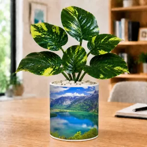 Artificial Tree Ceramic Photo Pot With White Stones 3x4 Inch (F165332) Artificial Tree Ceramic Photo Pot With White Stones 3x4 Inch (F165332)