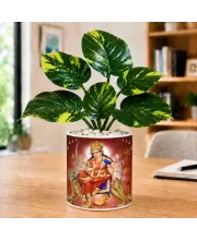 Artificial Tree Ceramic Photo Pot With White Stones 3x4 Inch (F165337)
