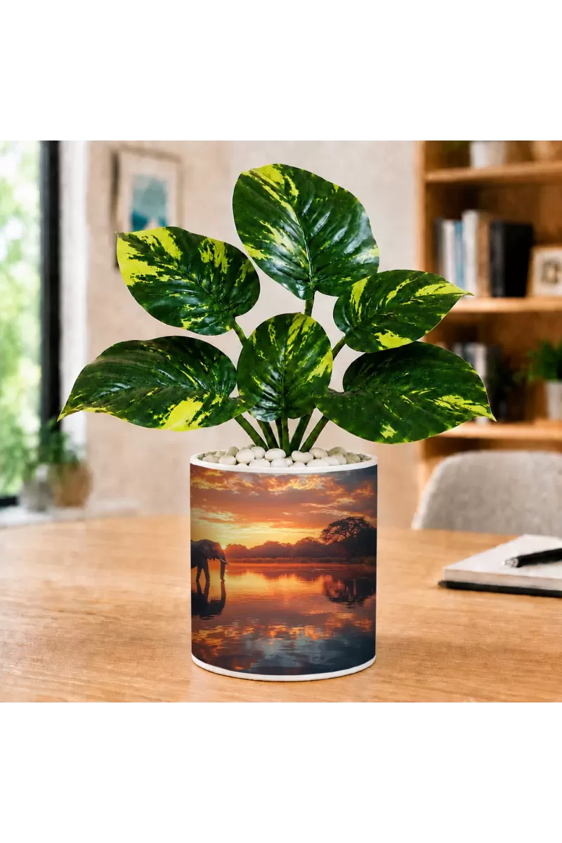 Artificial Tree Ceramic Photo Pot With White Stones 3x4 Inch (F165340)