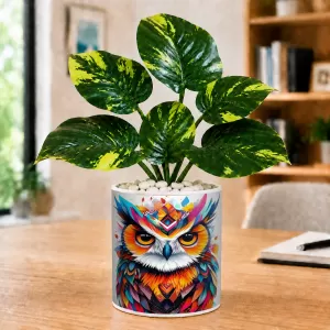 Artificial Tree Ceramic Photo Pot With White Stones 3x4 Inch (F165349) Artificial Tree Ceramic Photo Pot With White Stones 3x4 Inch (F165349)