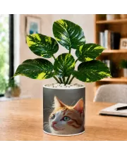 Artificial Tree Ceramic Photo Pot With White Stones 3x4 Inch (F165360)