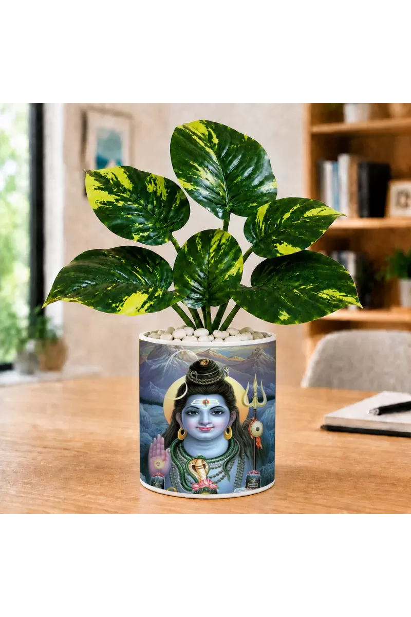 Artificial Tree Ceramic Photo Pot With White Stones 3x4 Inch (F165364)