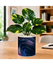 Artificial Tree Ceramic Photo Pot With White Stones 3x4 Inch (F165366)