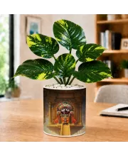 Artificial Tree Ceramic Photo Pot With White Stones 3x4 Inch (F165370)