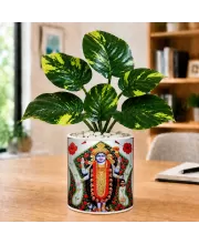 Artificial Tree Ceramic Photo Pot With White Stones 3x4 Inch (F165373)