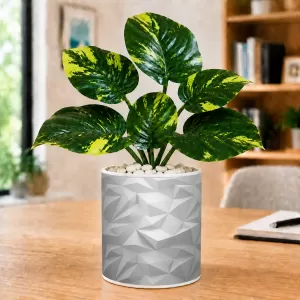 Artificial Tree Ceramic Photo Pot With White Stones 3x4 Inch (F165378) Artificial Tree Ceramic Photo Pot With White Stones 3x4 Inch (F165378)