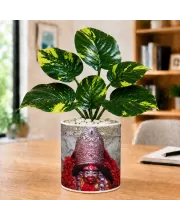 Artificial Tree Ceramic Photo Pot With White Stones 3x4 Inch (F165379)