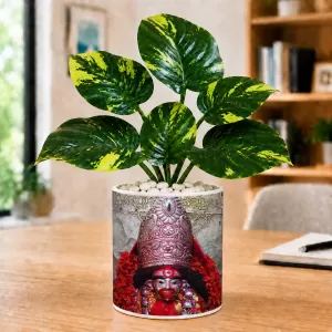 Artificial Tree Ceramic Photo Pot With White Stones 3x4 Inch (F165379) Artificial Tree Ceramic Photo Pot With White Stones 3x4 Inch (F165379)