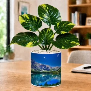 Artificial Tree Ceramic Photo Pot With White Stones 3x4 Inch (F165384) Artificial Tree Ceramic Photo Pot With White Stones 3x4 Inch (F165384)