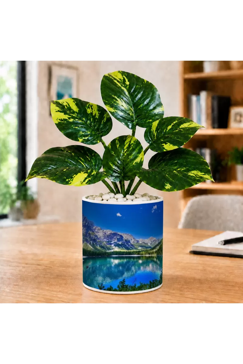 Artificial Tree Ceramic Photo Pot With White Stones 3x4 Inch (F165384)