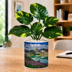 Artificial Tree Ceramic Photo Pot With White Stones 3x4 Inch (F165390) Artificial Tree Ceramic Photo Pot With White Stones 3x4 Inch (F165390)