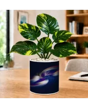 Artificial Tree Ceramic Photo Pot With White Stones 3x4 Inch (F165399)