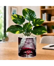Artificial Tree Ceramic Photo Pot With White Stones 3x4 Inch (F165403)
