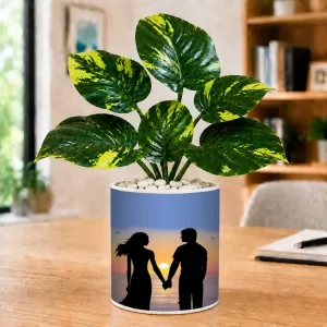 Artificial Tree Ceramic Photo Pot With White Stones 3x4 Inch (F165404) Artificial Tree Ceramic Photo Pot With White Stones 3x4 Inch (F165404)