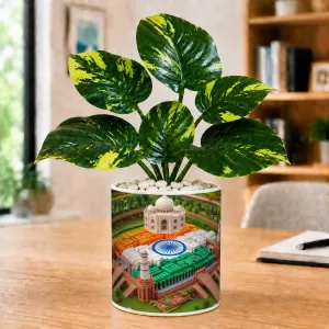 Artificial Tree Ceramic Photo Pot With White Stones 3x4 Inch (F165408) Artificial Tree Ceramic Photo Pot With White Stones 3x4 Inch (F165408)