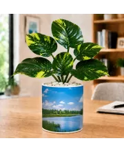 Artificial Tree Ceramic Photo Pot With White Stones 3x4 Inch (F165417)