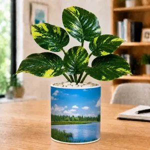 Artificial Tree Ceramic Photo Pot With White Stones 3x4 Inch (F165417) Artificial Tree Ceramic Photo Pot With White Stones 3x4 Inch (F165417)