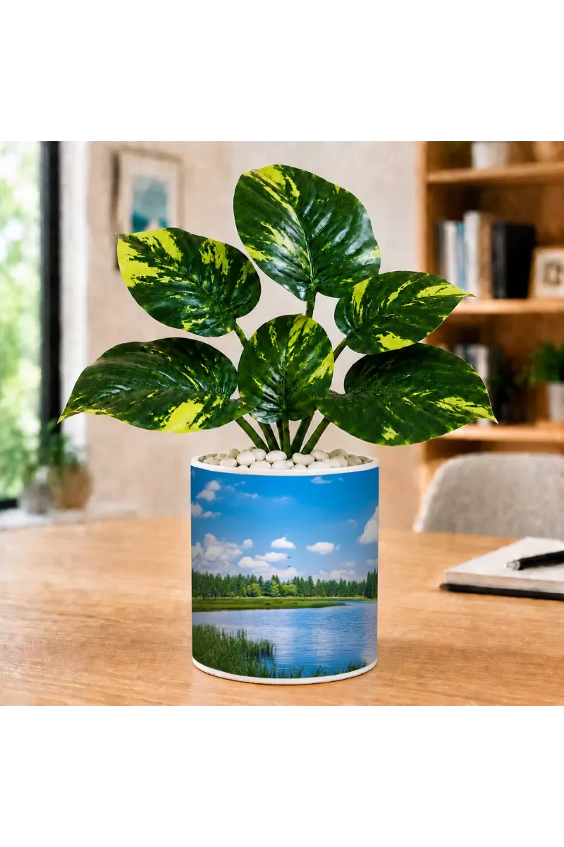 Artificial Tree Ceramic Photo Pot With White Stones 3x4 Inch (F165417)