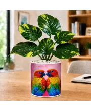 Artificial Tree Ceramic Photo Pot With White Stones 3x4 Inch (F165419)